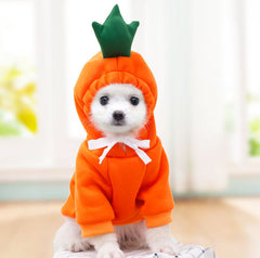 Cute Fruit Dog Clothes French Chihuahua Outfit