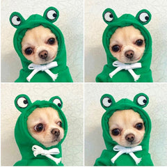 Cute Fruit Dog Clothes French Chihuahua Outfit