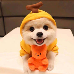 Cute Fruit Dog Clothes French Chihuahua Outfit