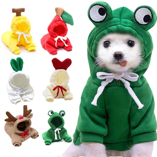 Cute Fruit Dog Clothes French Chihuahua Outfit